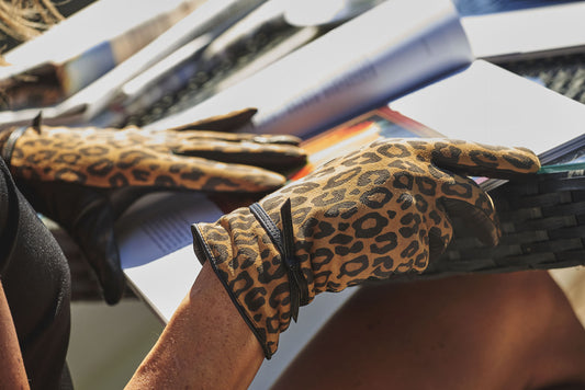 Agnese . Spotted With Bow