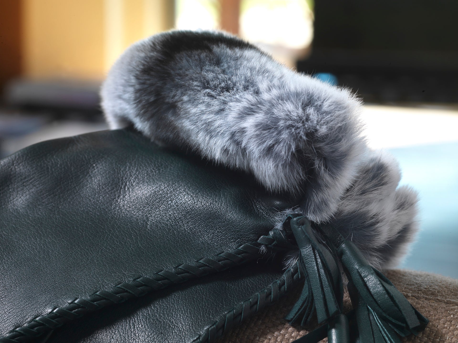 Ginevra . Bordo in pelliccia